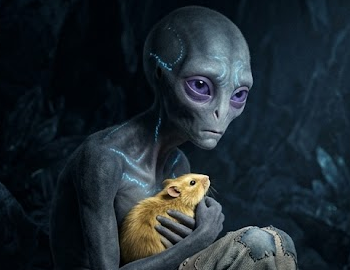 Saltah'na