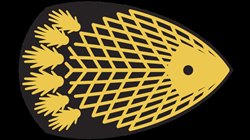 Forward Observation Zone